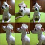 <b>개간</b>지나는 제머리 어때요???ㅋㅋㅋㅋㅋㅋㅋㅋ