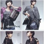 <b>vogue</b> promotion - glambag