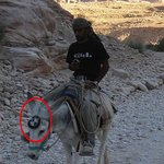 신형<b>bmw</b>스포츠카를 뽑았어요(사진有)