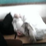 휴...정말 <b>큰일</b>이네요....