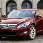 요즘뜨는 애들 한번 보실래요?