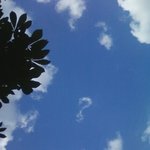 오늘 하늘에 <b>물음표</b>가 ㅋㅋ완전신기했어요 ! (사진有)