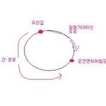 양심 없는 택시 기사..... 꼭좀봐주세요...억울합니다 그림有