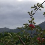 월악산의 가을 풍경과 죽음.......