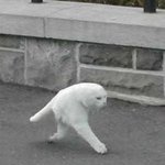 영등포=닭, 구로=소등심, 부천=또 닭
