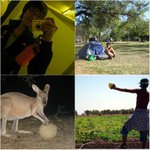 1분의로망 나머진 폭풍같은현실..(호주워홀<b>story</b>..)