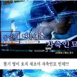 돌덩이 호치새충