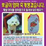 간암말기시한부선고받으신아버지께서 죽기전에단한번만이라도 보고싶어하십니다