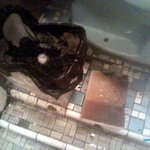 담배불때문에 불날뻔했습니다.