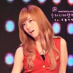 소녀시대가 타고다니는 차 봣음 사진있음!