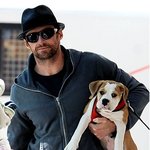 헐리웃스타들의 애견들, 주인따라 개성만점ㅋ