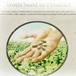 남자가 꼭 먹어야 할 건강 음식은??