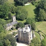 현금이 부족하다는 니콜라스 <b>케이지</b>가 내놓은 성