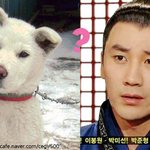 엄태웅-풍산개 닮은꼴, 싱크로율 대박이다ㅋㅋㅋ