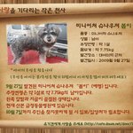 도와주세요..ㅠㅠ강아지잃어버리신분 한번만봐주세요