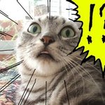 <b>화상</b>채팅 때문에 개쪽팔림~