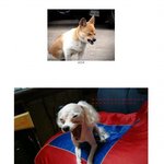 조문근이랑 서인국 둘중 <b>어느사람</b>이 매력적인가요