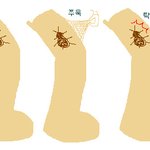 내 스타킹에 끼어있던 바퀴<b>벌레</b>!!!!!!!! ( + 발..그림)