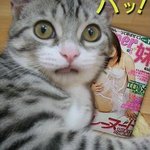 원본<b>지킴이</b>