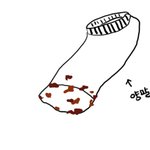 신발을 벗었더니 양말에 붙어있던 그것!!! 그림有 (잔혹 <b>or</b> 혐오)