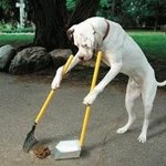 ☆사진有★ 이런게 개<b>매너</b> 인가요?ㅡㅡ