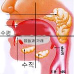 버스안에서 분무기처럼 <b>분출</b>해버린..가래침..ㅜ