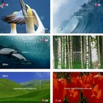 엑스캔버스 보더리스tv의 슬림베젤 디자인 글로벌영상 오 멋있네요~