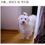 웃고싶은 분들 <b>클릭</b>, 강추 ㅋㅋㅋㅋㅋㅋㅋㅋㅋㅋ