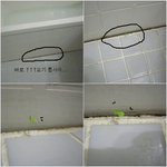 (사진有)욕실바닥에서 <b>새싹</b>이 자라나고 있어요 ~~ !!