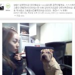 개 무서워하는 산다라 박, 권지용 '<b>가호</b>'랑 찰칵!