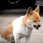(충격有)서인국..조문근..그리고 <b>휘성</b>..