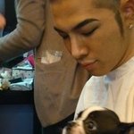 권지용에게 애견 <b>가호</b>가 있다면 태양에게는...