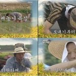 무한도전 벼농사 편 보고 <b>쌀밥</b> 해 봤답니다 ㅋㅋ