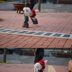15살, 공중<b>부양</b> 하는 개봤어요? 안봤으면 말을 하지 마세요 훗