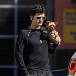 여친 미란다 커 애견 봐주는 올랜도 <b>블룸</b>, 뱃살;