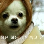 이런장난하는거우습고<b>유치</b>해
