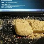 인절미, 무한잉크, 폴<b>라포</b>.. 되돌리고 싶은 상황만 엄선 베스트