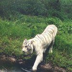 어제 실제, 우리동네 강간범 사진 <b>포함</b>