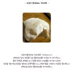 나만의 피부관리로 연예인피부 안부럽다!! 클렌징하나도 <b>각별</b>하게!!