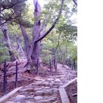 산에 가고싶다