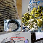 가을맞이 집안 꾸미기! 1년만에 꺼낸 조화 세탁법 알려드려요~^^