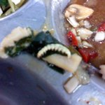 [사진有] 급식 먹다 국에서 애벌레 나왔어요 !!