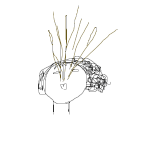 소개팅女 <b>분수</b>쑈를 보여주더군요 ㅋㅋㅋㅋㅋㅋ