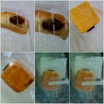 [사진有] 헐!!!왠일..그 유명한 파x <b>xx</b>트 빵에서..