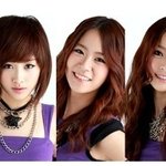 엉덩이춤으로 유명한 카라 ! 그녀들의 헤어스타일 <b>연출</b>법!