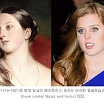 <b>영국</b> 왕실의 무서운 유전자 ㄷㄷㄷ