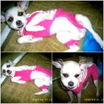 <b>세나</b>를 찾고 있습니다