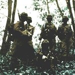 기억하시나요? 96년 강릉 무장공비 침투사건 경험자의 글(펌)