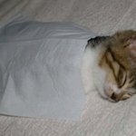 간만의 <b>휴식</b>.. 아~ 추워.. ㅜㅜ