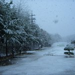 소금강의 <b>첫눈</b>(2009.11.2)